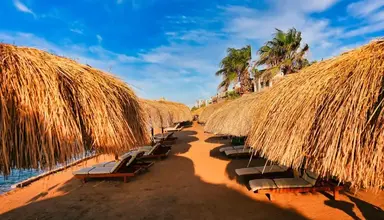 Eagles Down Town Zahabia Resort