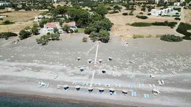 Eco Beach and Magic Garden