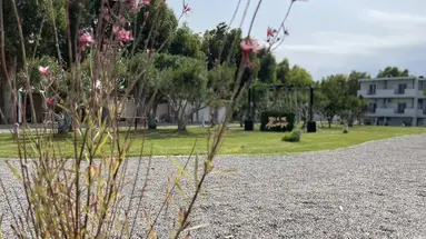 Eco Beach and Magic Garden