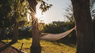 Eco Beach and Magic Garden