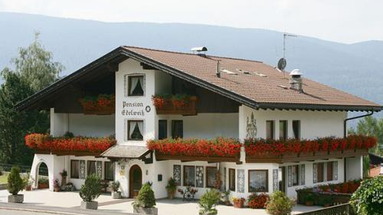 Edelweiss