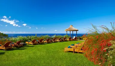 Eden Mar