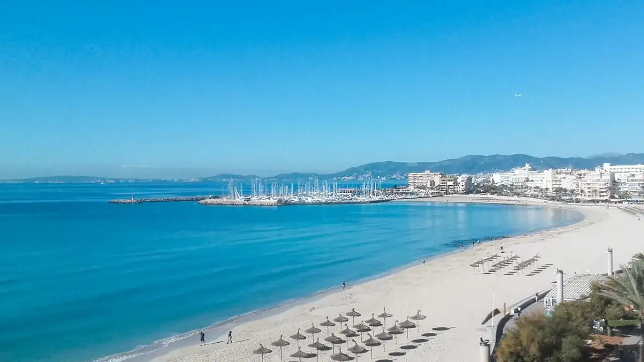 Eden Palma Playa