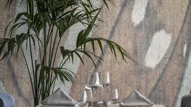 Eden Roc Resort