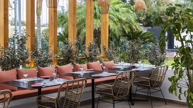Eden Roc Resort