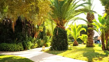 Eden Yasmine Resort & Spa