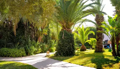 Eden Yasmine Resort & Spa
