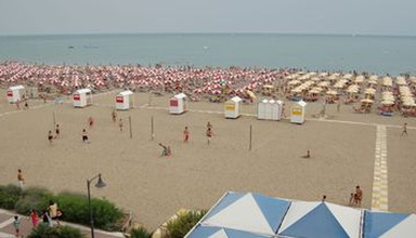 Edera
