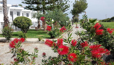 Efessos Beach
