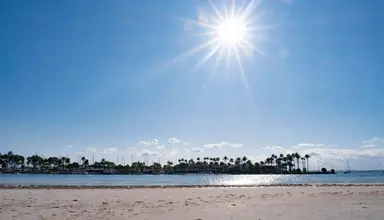 Eix Alcudia