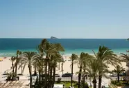 El Palmeral
