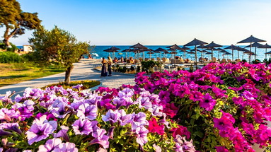Elani Bay Resort