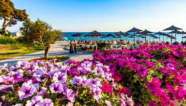 Elani Bay Resort