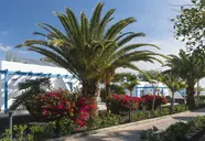 Elba Premium Suites