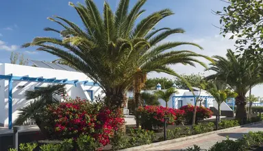 Elba Premium Suites