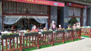 Elefant
