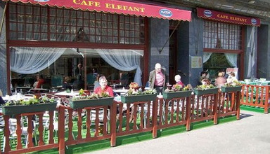 Elefant