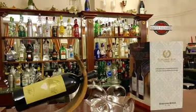Elegant Lux (Bansko)