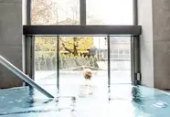 Elements Resort Zell am See