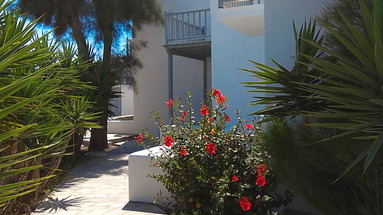Elena Studios & Suites