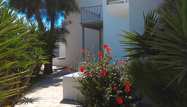 Elena Studios & Suites