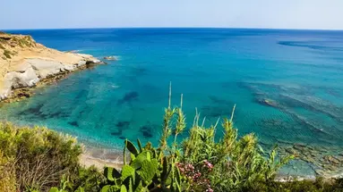 Elenas Beach Garden