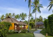 Elixir Koh Yao Yai