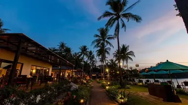 Elixir Koh Yao Yai