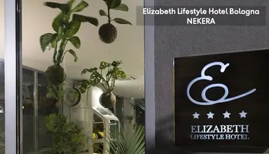 Elizabeth Lifestyle