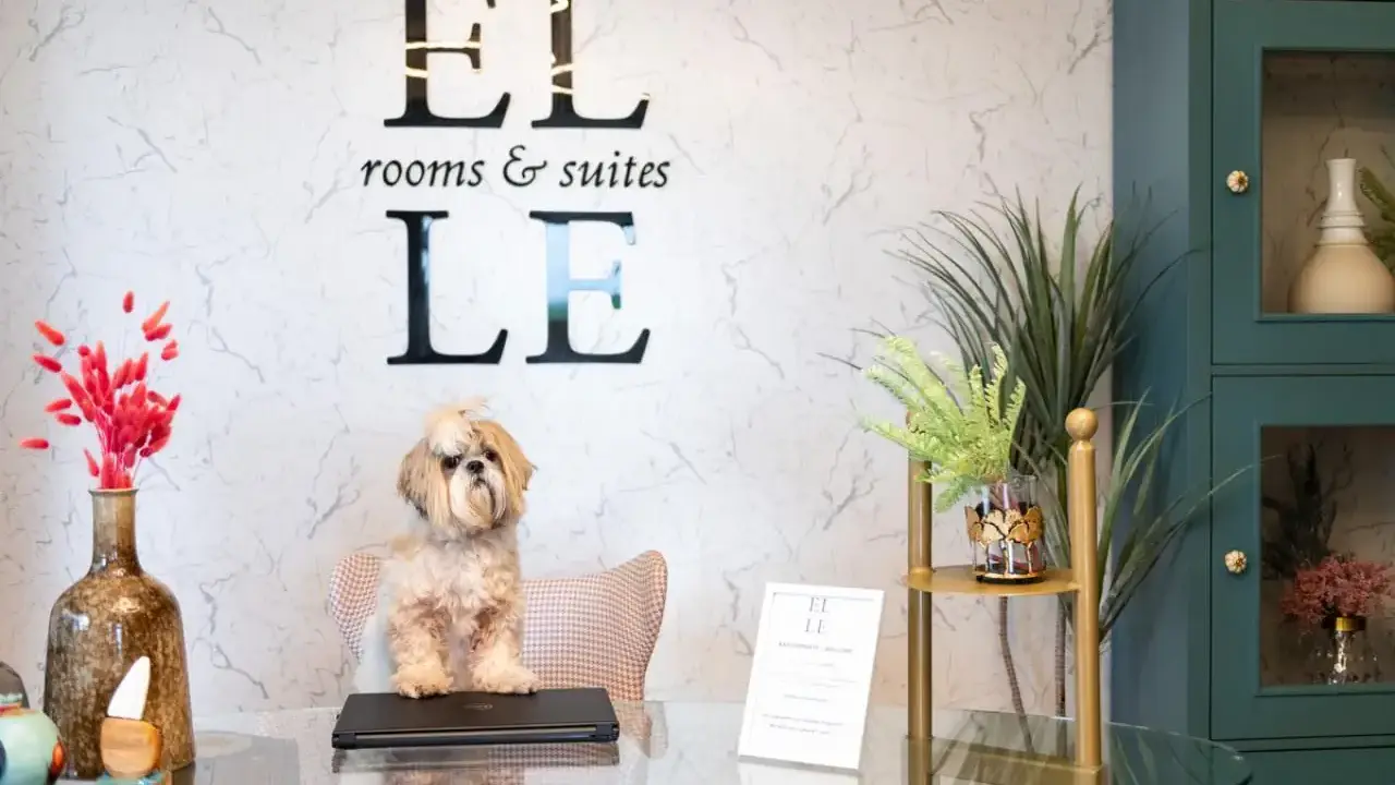 ELLE Rooms & Suites