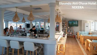 Elounda Akti Olous