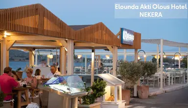 Elounda Akti Olous