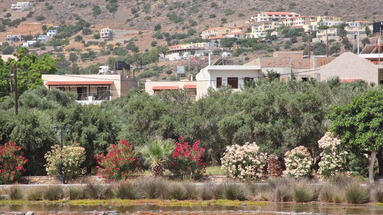 Elounda Olive Garden