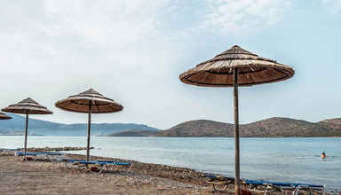 Elounda Olive Garden