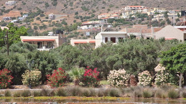 Elounda Olive Garden