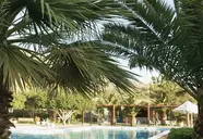 Elounda Palm