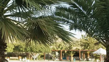 Elounda Palm