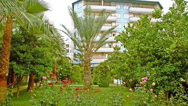 Elysee Garden