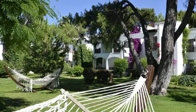 Emelda Sun Club