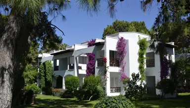 Emelda Sun Club