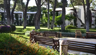 Emelda Sun Club