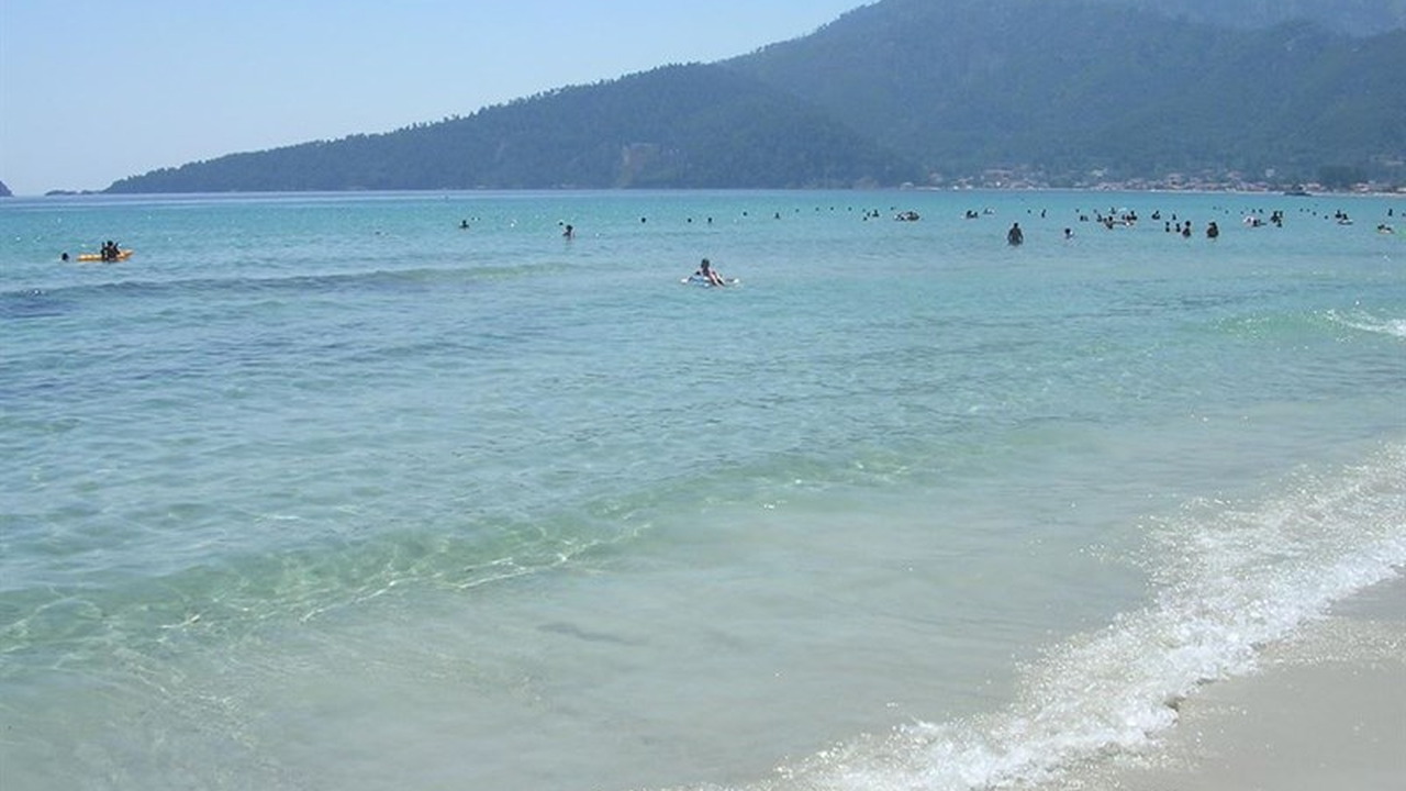 Enavlion