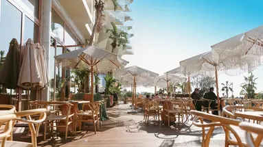 Epidamn White Sensation
