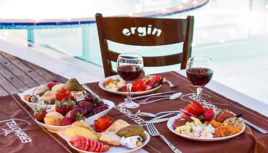 Ergin