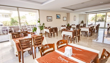 Ergin