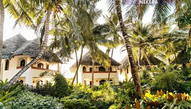 Essque Zalu Zanzibar