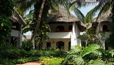 Essque Zalu Zanzibar