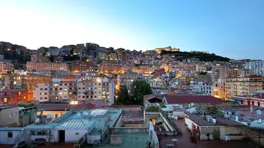 Exe Majestic