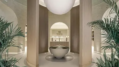 Fairmont The Palm