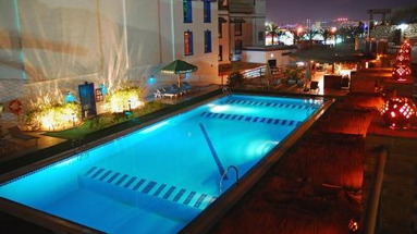 Falcon Naama Blue